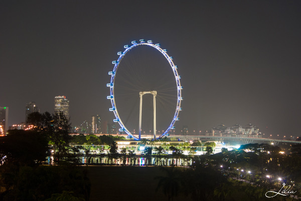 Сингапур, колесо обозрения