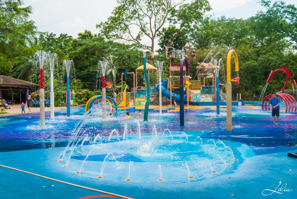 Сингапур, зоопарк: аквапарк для детей