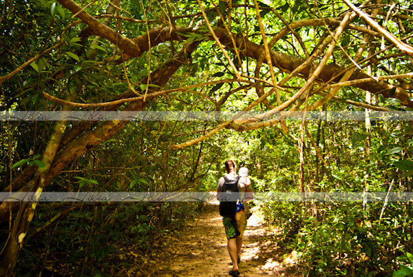 Сианук: Ream National Park