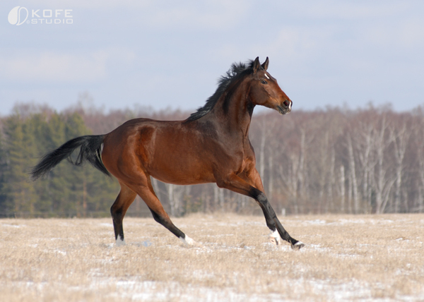 http://content.foto.mail.ru/mail/gelios_razuvaeva/938/i-2790.jpg