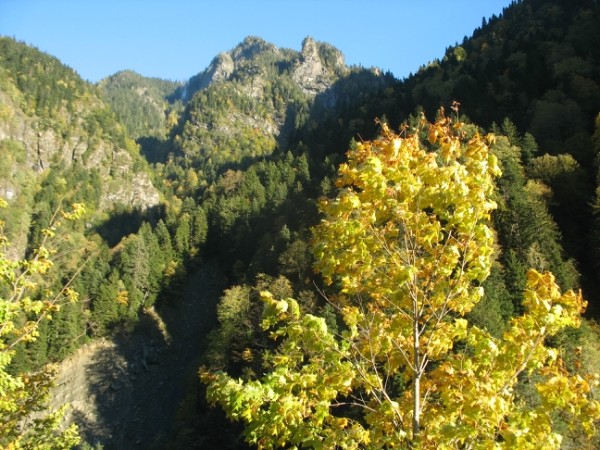 http://content.foto.mail.ru/mail/geowit/1542/h-1563.jpg