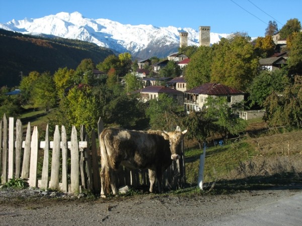 http://content.foto.mail.ru/mail/geowit/1542/h-1627.jpg