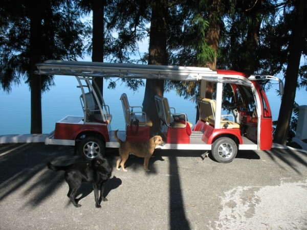 http://content.foto.mail.ru/mail/geowit/1542/h-1635.jpg