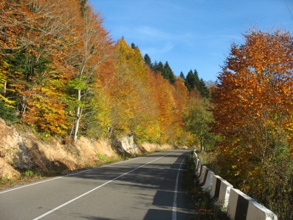 http://content.foto.mail.ru/mail/geowit/1542/h-1676.jpg