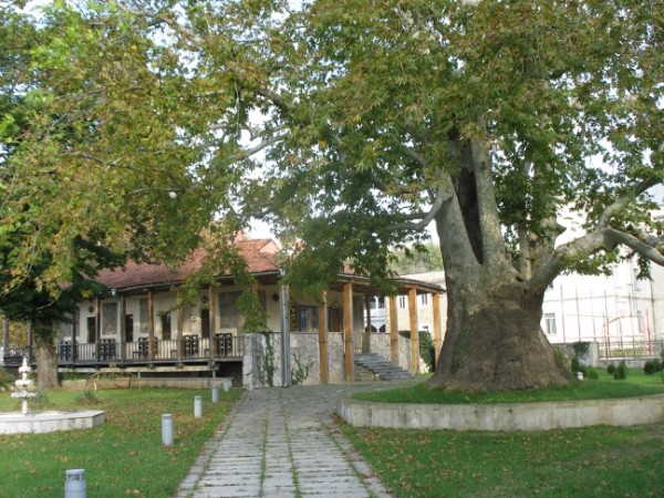 http://content.foto.mail.ru/mail/geowit/1542/h-1678.jpg