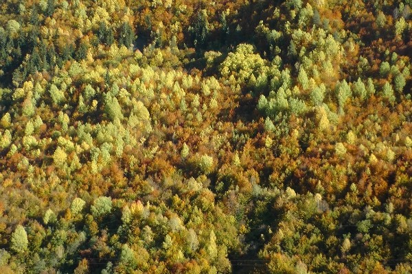 http://content.foto.mail.ru/mail/geowit/1716/h-1756.jpg