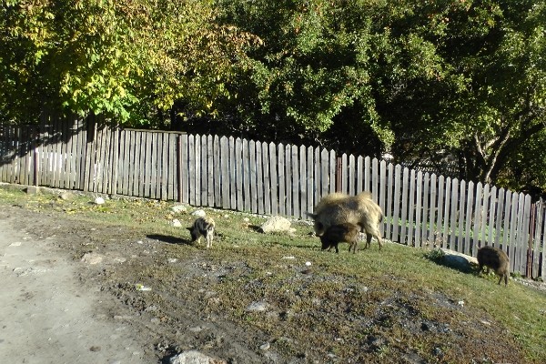 http://content.foto.mail.ru/mail/geowit/1716/h-1760.jpg