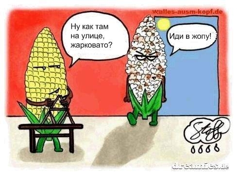 Размещенное изображение