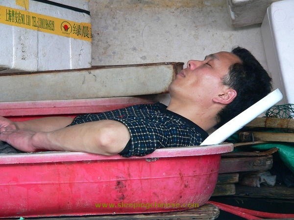 http://content.foto.mail.ru/mail/graygosling/C/i-767.jpg