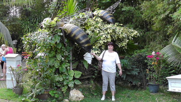 Таиланд, пчелиная ферма Big Bee
