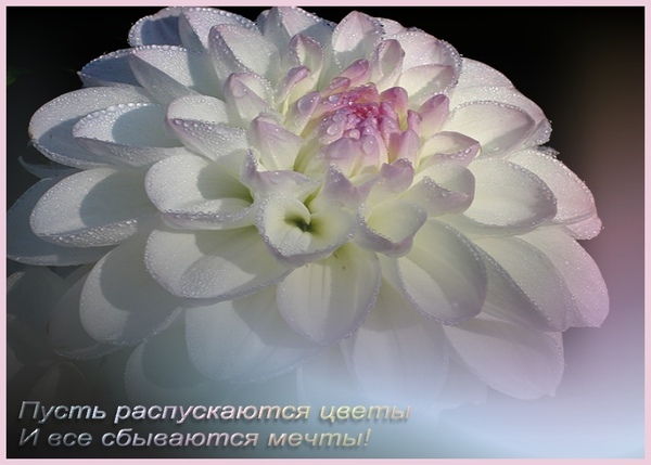 http://content.foto.mail.ru/mail/hlan_natali/_blogs/i-439.jpg