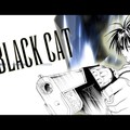 Чёрный Кот / Black Cat