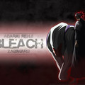 Аниме Блич / Bleach