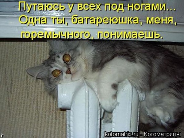 http://content.foto.mail.ru/mail/iaknazeva/12825/i-12877.jpg