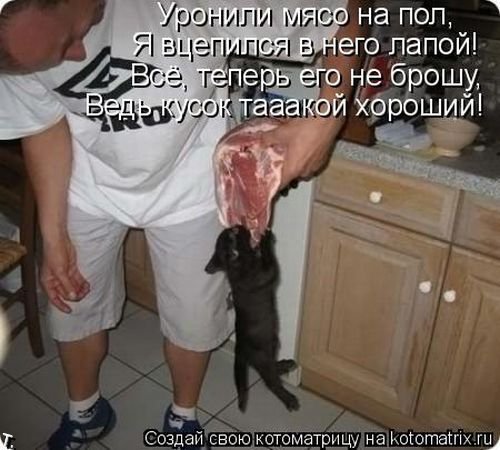 http://content.foto.mail.ru/mail/iaknazeva/12825/i-12883.jpg