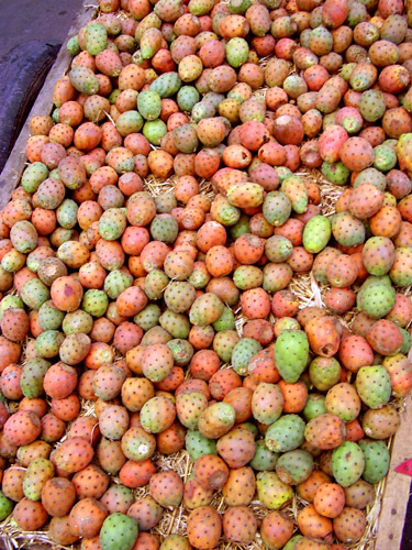 Из серии ''Колониальные товары''. ''Берберские яблоки'' - плоды кактусов в Новой медине Касабланки.