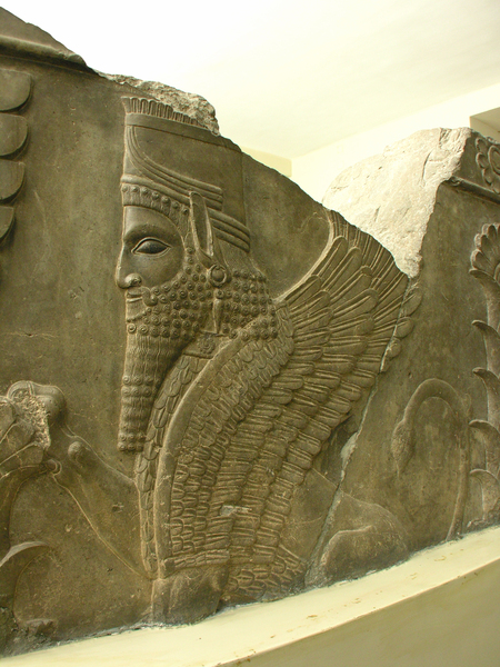 Из серии «Персидские узоры». Древнеперсидский барельеф в Национальном музее Ирана.