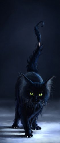 Жил да был черный кот за углом...(фото и картинки) 