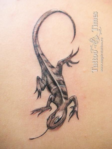 Фото и значение татуировки Саламандра. I-182