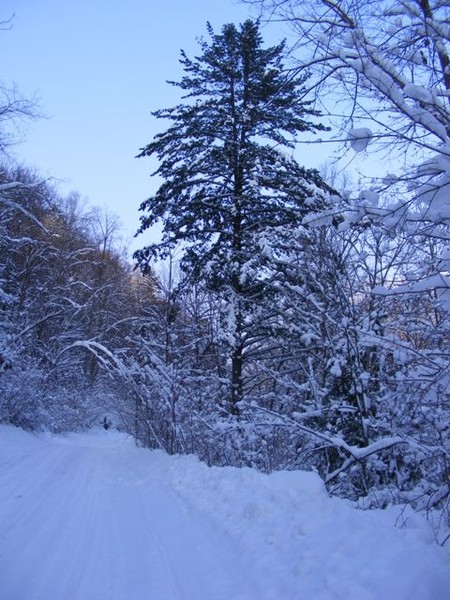 http://content.foto.mail.ru/mail/jenshen/1625/i-2354.jpg