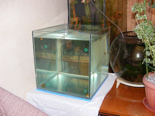 Изготовление аквариума - АкваАрт - продажа морских аквариумов в Самаре