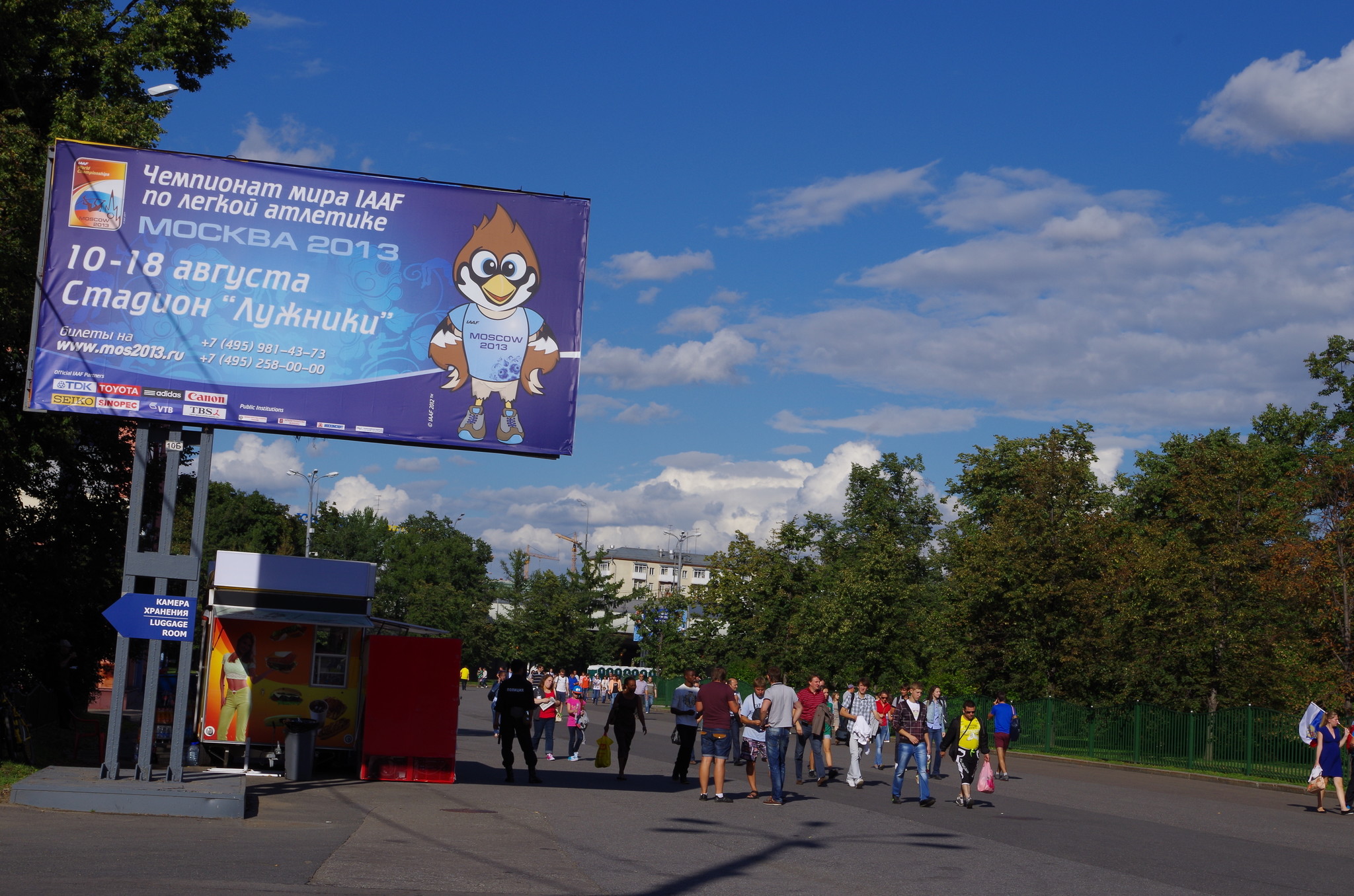Лужники