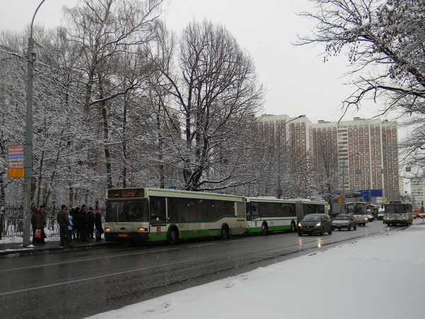 Череповецкая улица