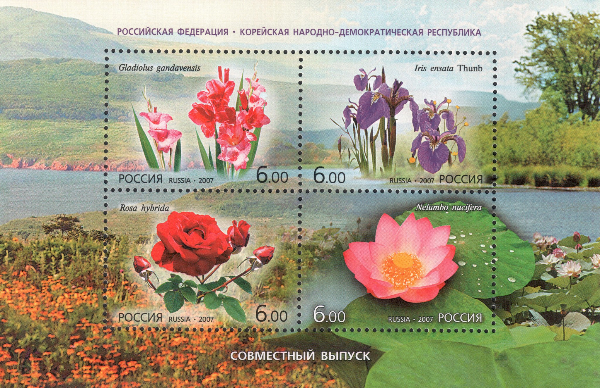 Цветы