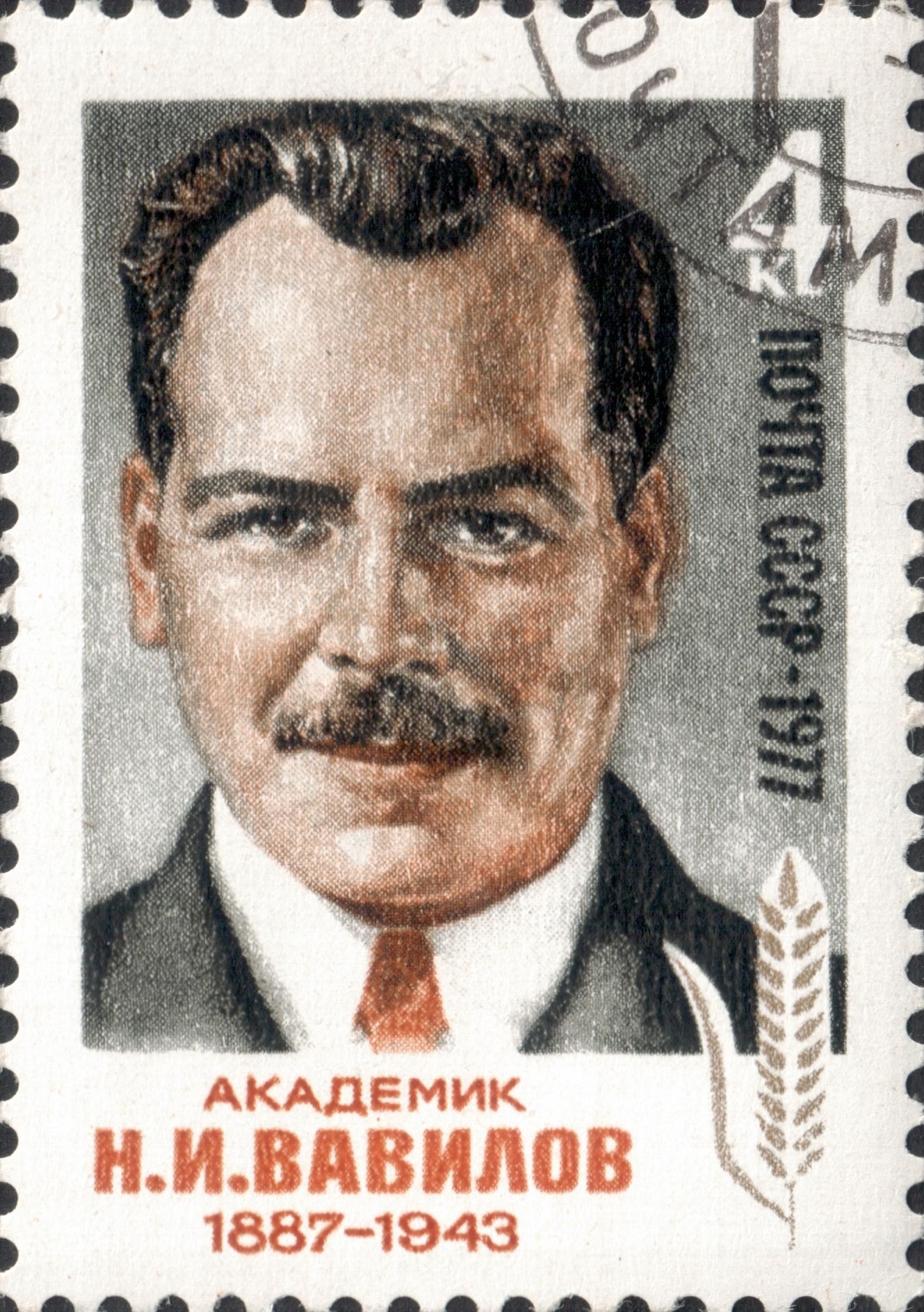 Академик Николай Иванович Вавилов