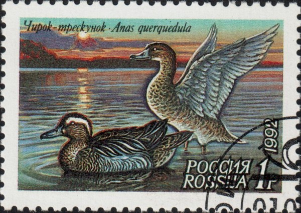 Чирок-трескунок