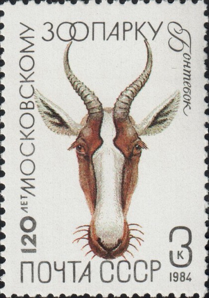 Бонтебок