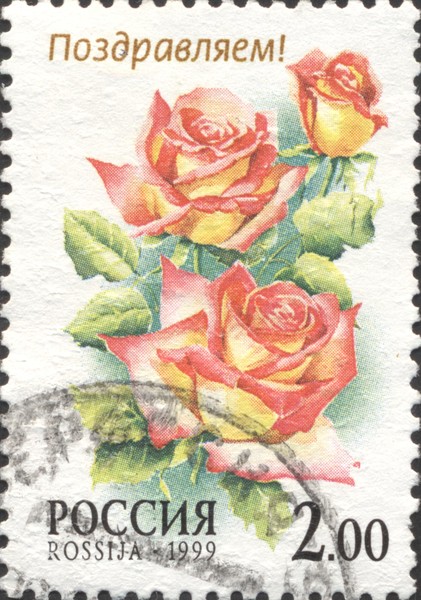 Розы