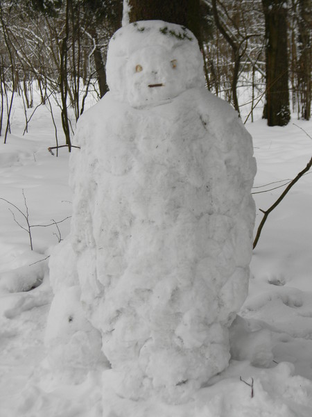 Снежный человек