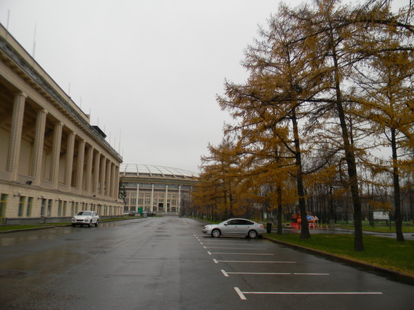 «Лужники»