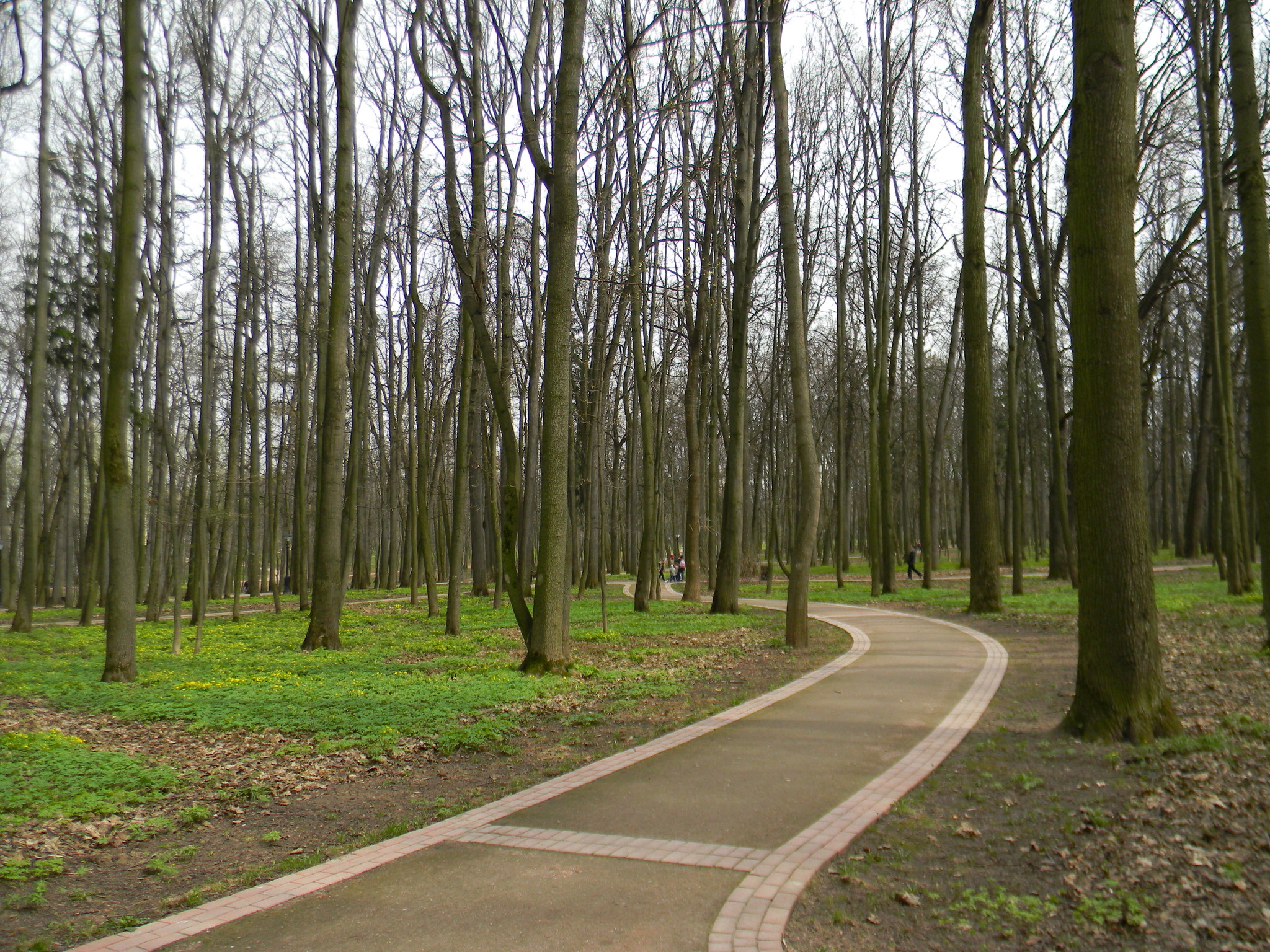 Царицынский парк