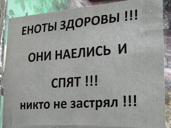 Объявление на вольере енотов полоскунов