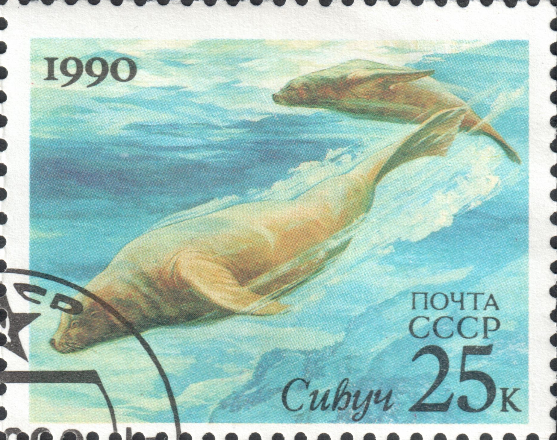 Сивуч