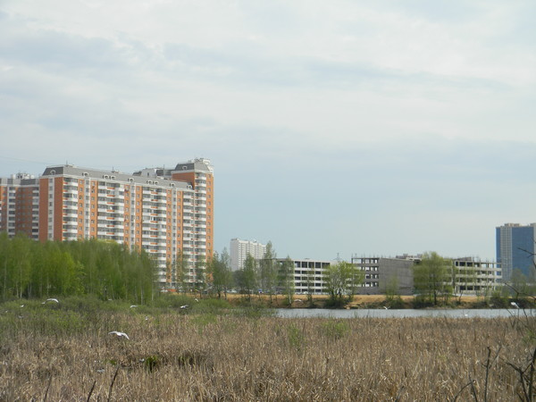 Пруд в 9-м микрорайоне Северного