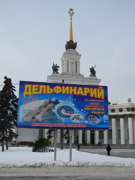 Дельфинарий теперь на ВВЦ