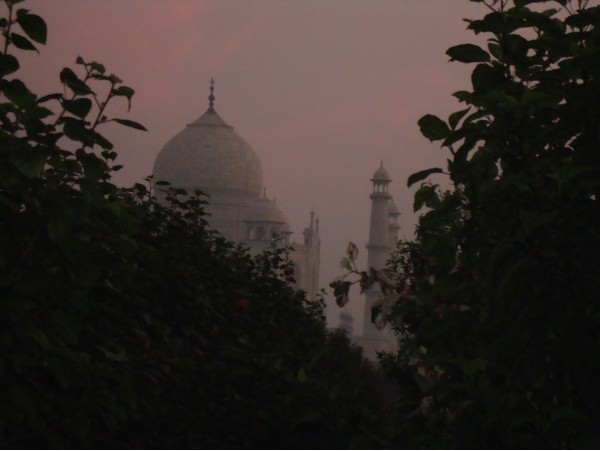 Индия. "Золотой треугольник", Андаманы, Керала