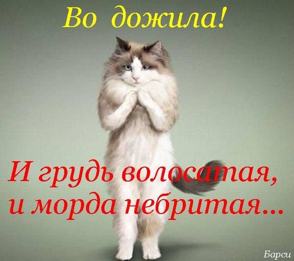Средства для увеличения груди без операции