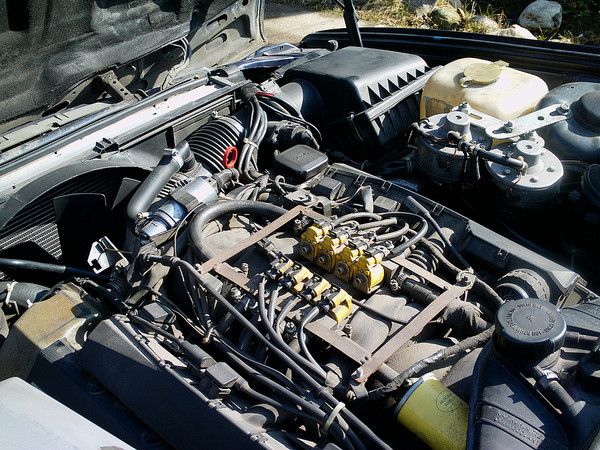 i-1379.jpg