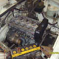 IPB Image