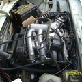IPB Image