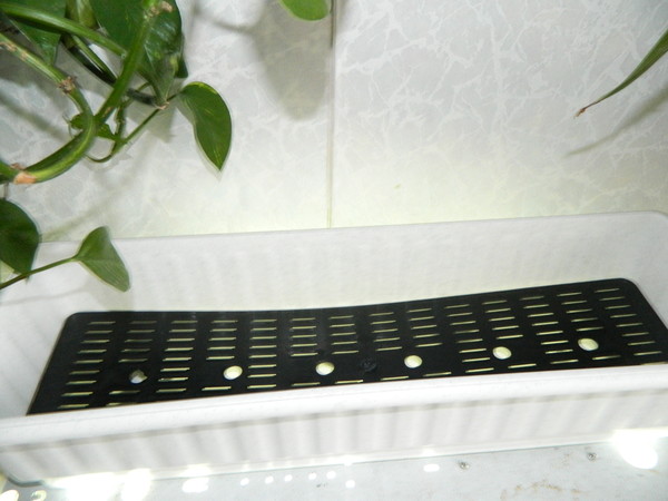 http://content.foto.mail.ru/mail/kosta999/aqua/i-2092.jpg