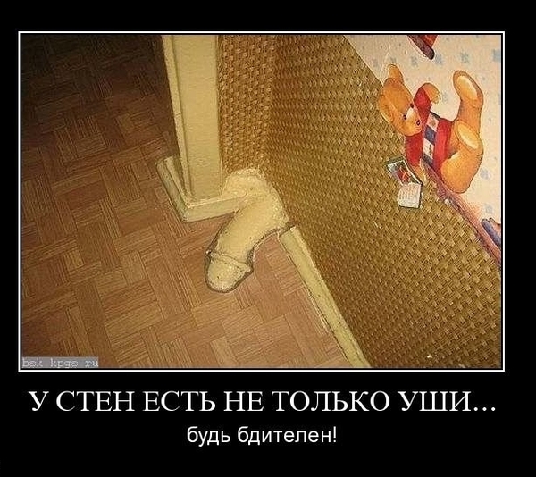 http://content.foto.mail.ru/mail/kudachkin_a_v/_myphoto/i-8.jpg
