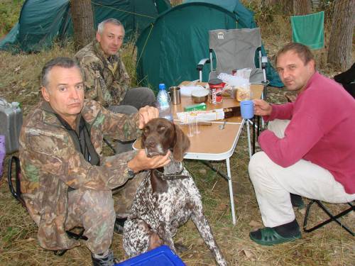 Ейск, сентябрь 2009. Осенний Всероссийский Чемпионат легавых собак по полевой дичи ранга CACT. Состязания ранга CACIT. I-115