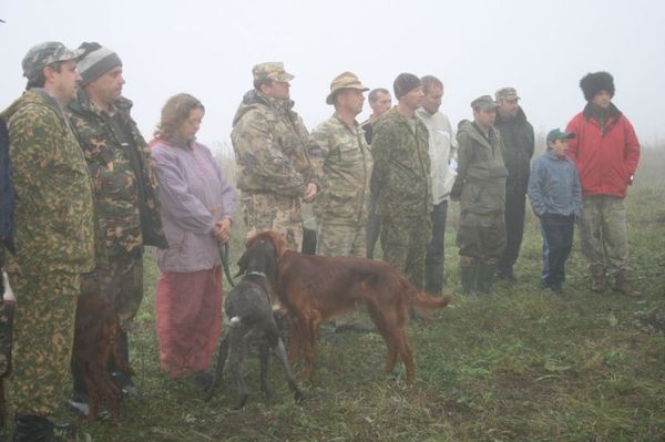 Я, Собака (Хантер Кутюрье), Ружьё и диван. I-34