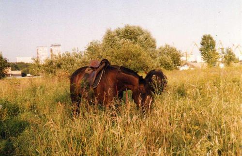 i-70.jpg