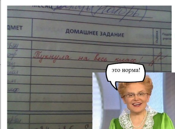 Что можно сделать с коробкой и телефоном Что можно сделать с коробкой и телефоном